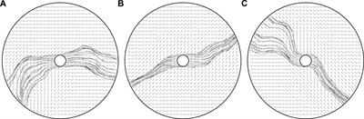 Modelling mechanically dominated vasculature development